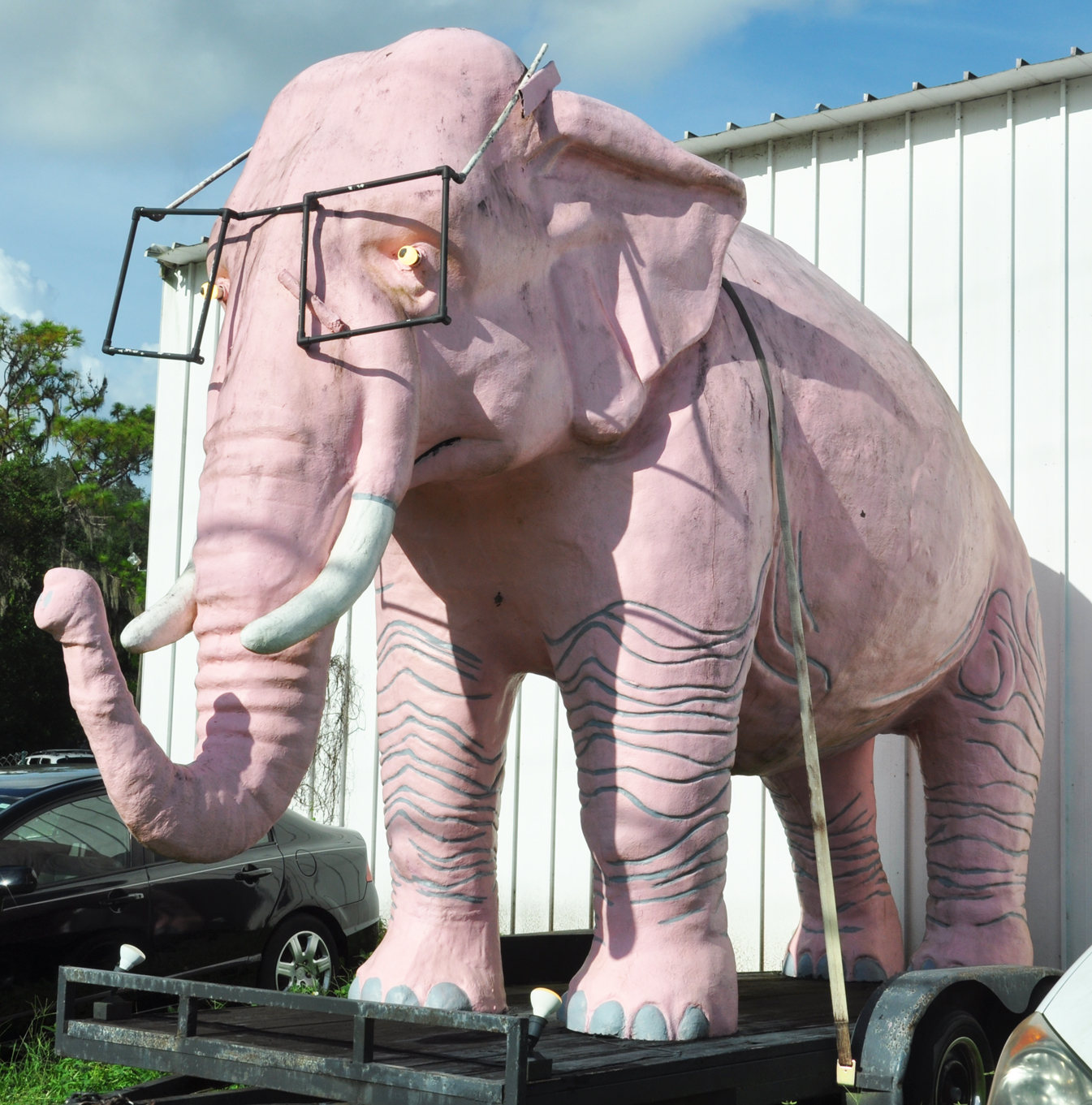 Pink elephant pawn