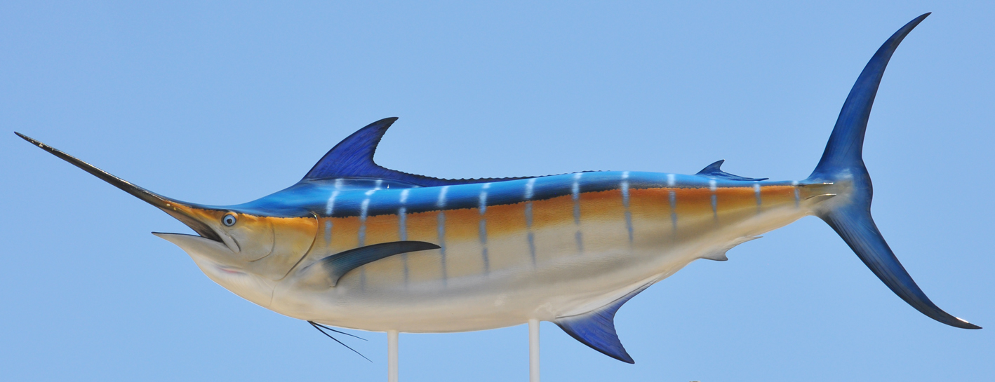 Marlin & Swordfish Statues